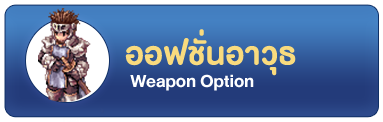 ออฟชั่นอาวุธ