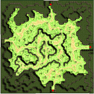 gef_fild08