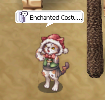 NPC Enchanted Costume